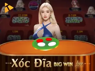  Xóc Đĩa BigWin